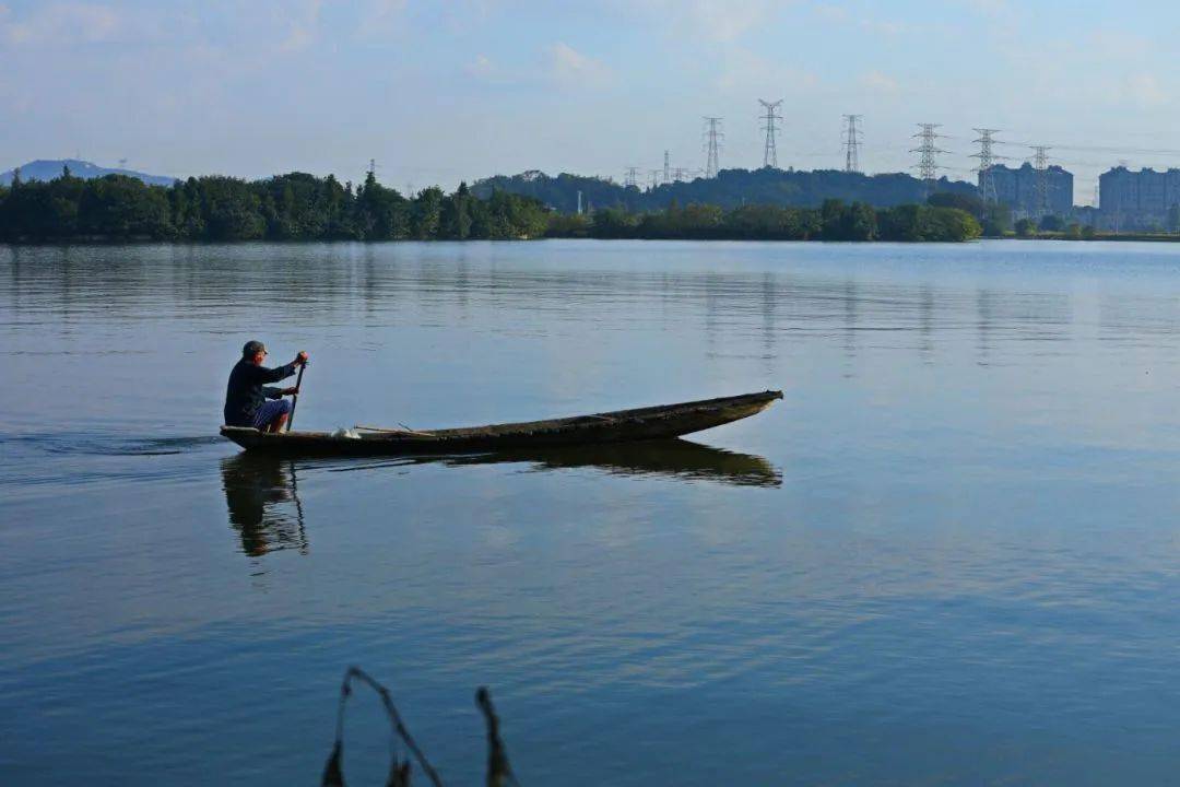 【图说·绍兴】东鉴湖风光掠影_清素_显得_摄影