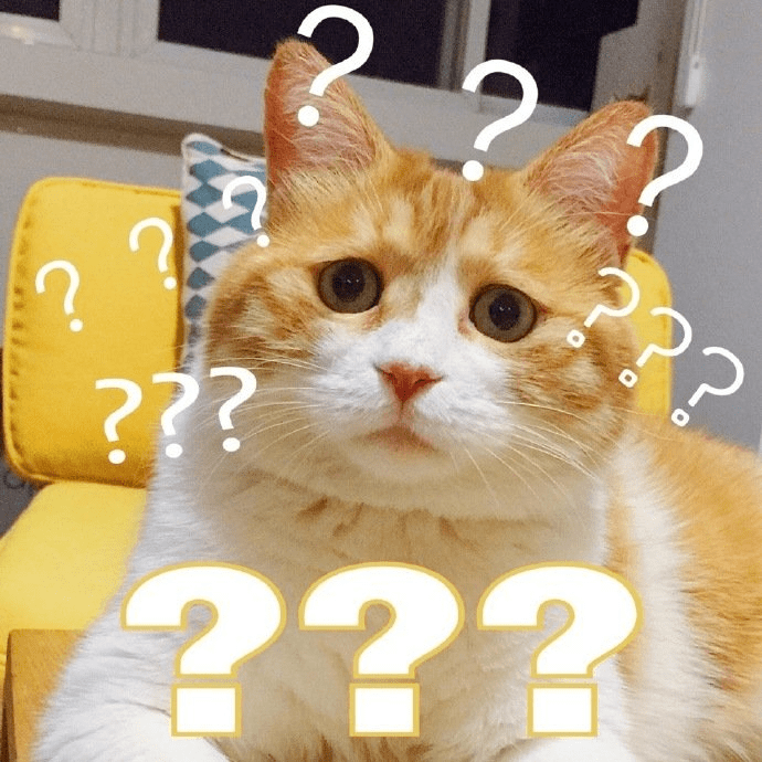 查理八世_路易六世_王子