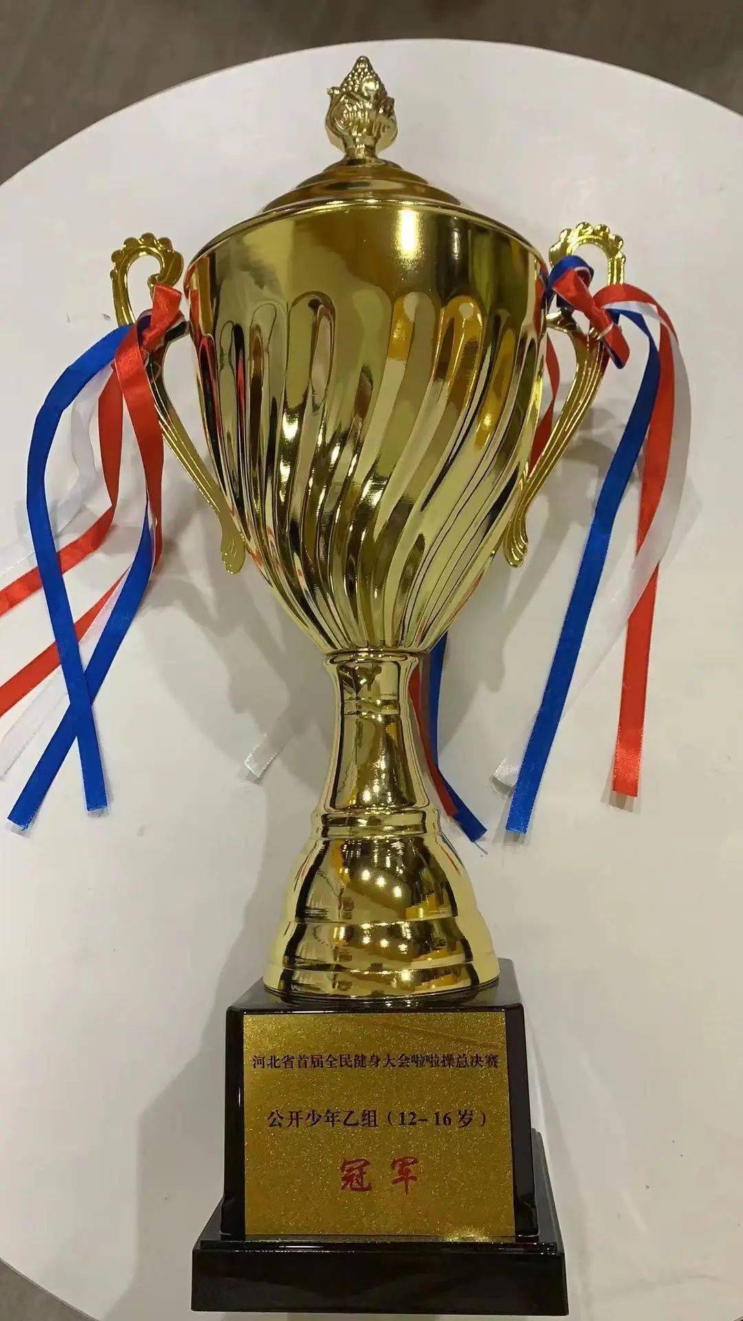 【喜报】保师附校啦啦操代表队荣获"2023年全民健身大会啦啦操"比赛冠