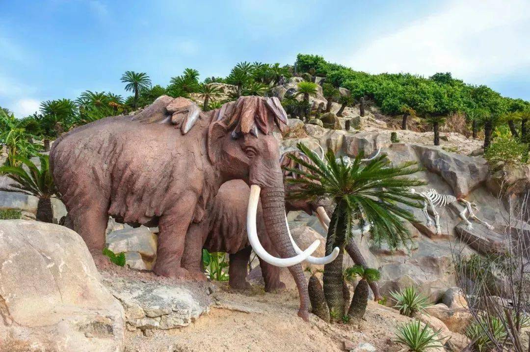 他们奉行简约主义,追求知识