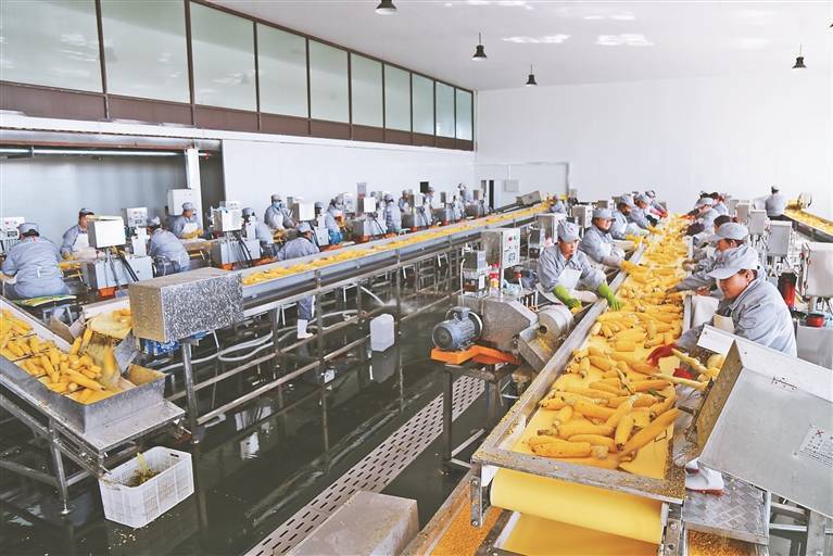 拜泉 担当奋进绘就高质量发展可持续振兴新画卷_项目_建设_企业