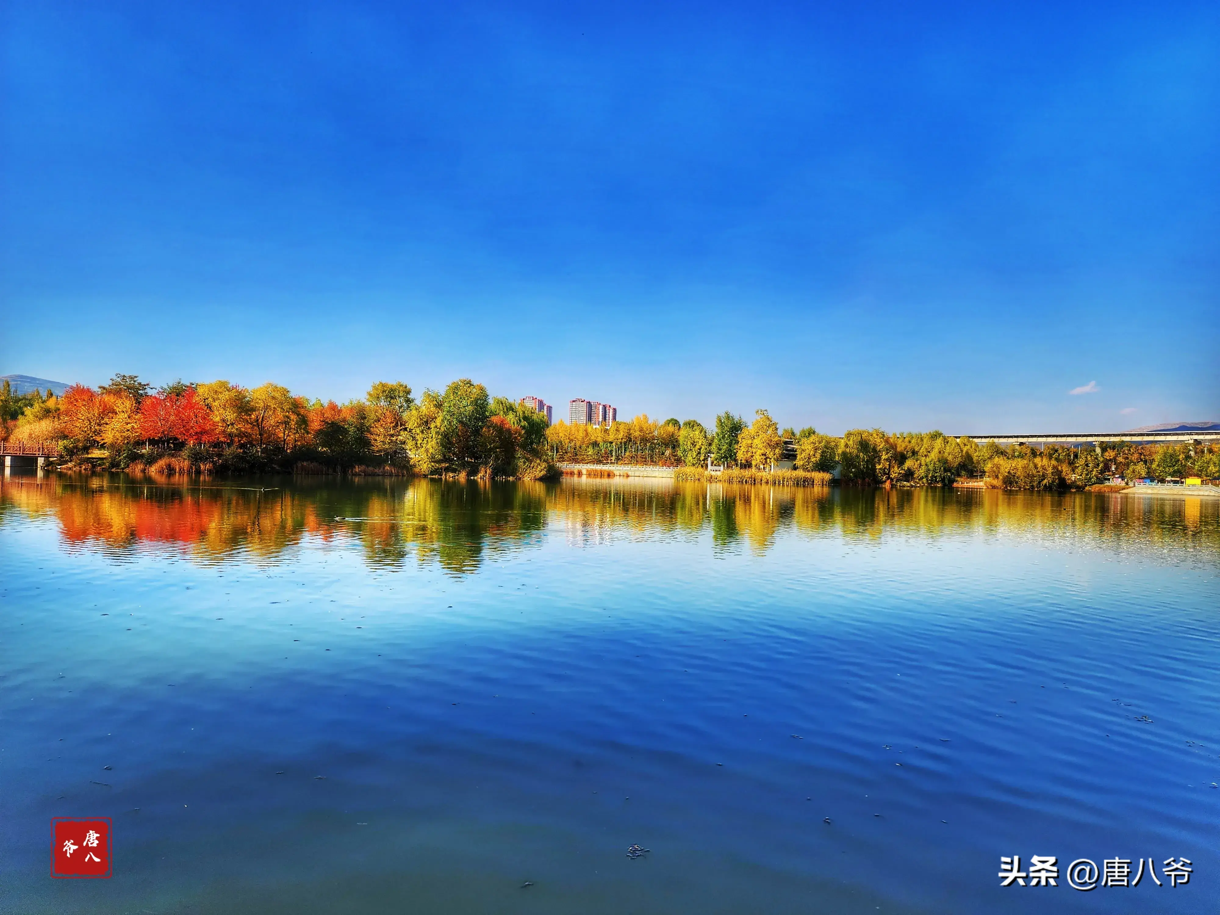 西宁市北川河湿地公园图片
