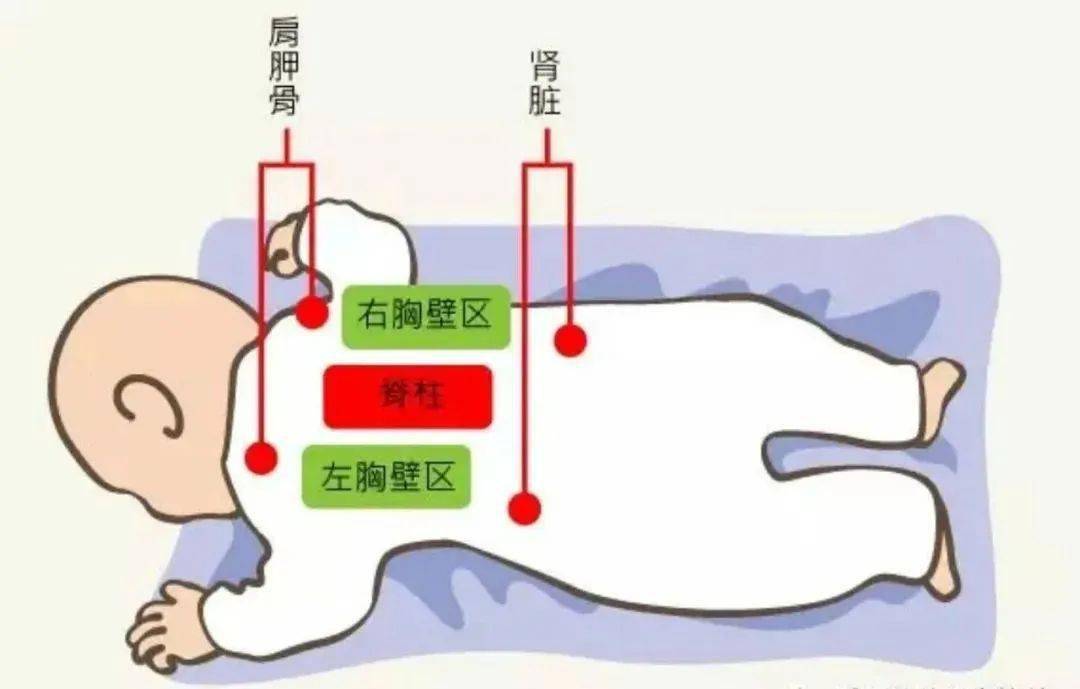 拍背排痰的手法图片图片