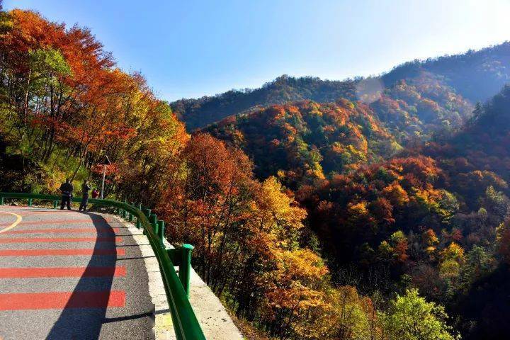 心~做好出游计划与攻略来黄柏塬感受最美金秋红叶景区咨询与求救电话