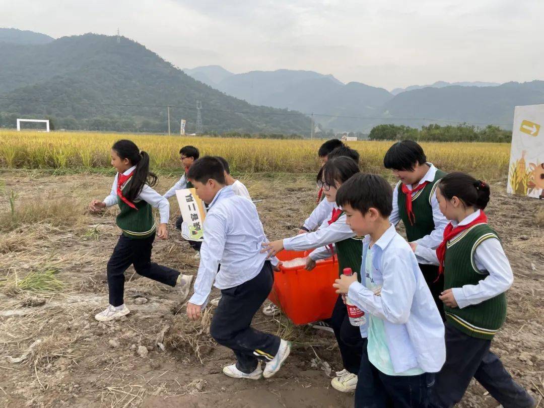 临海市尤溪镇中心校图片