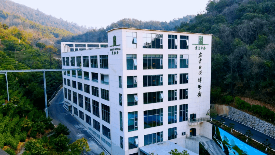 中茶协副会长单位华茗园携手宋茗白茶 深耕安吉白茶市场,助推"三茶"