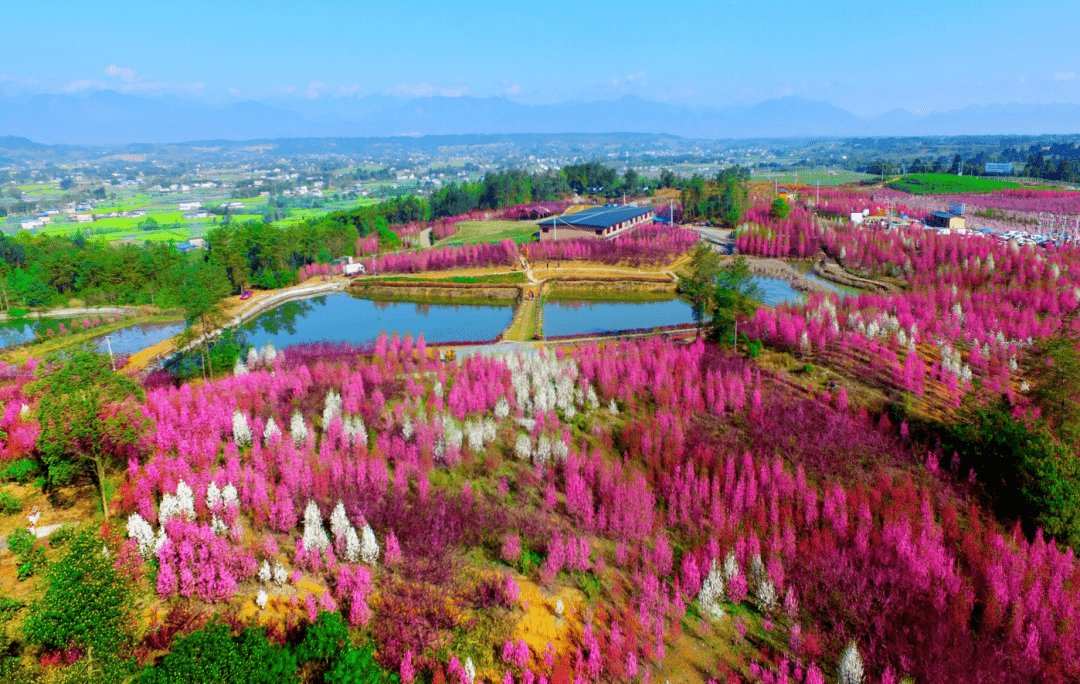 百花乐园享四季,让人耍得安逸平原,丘陵,山区各占三分之一,从300米到