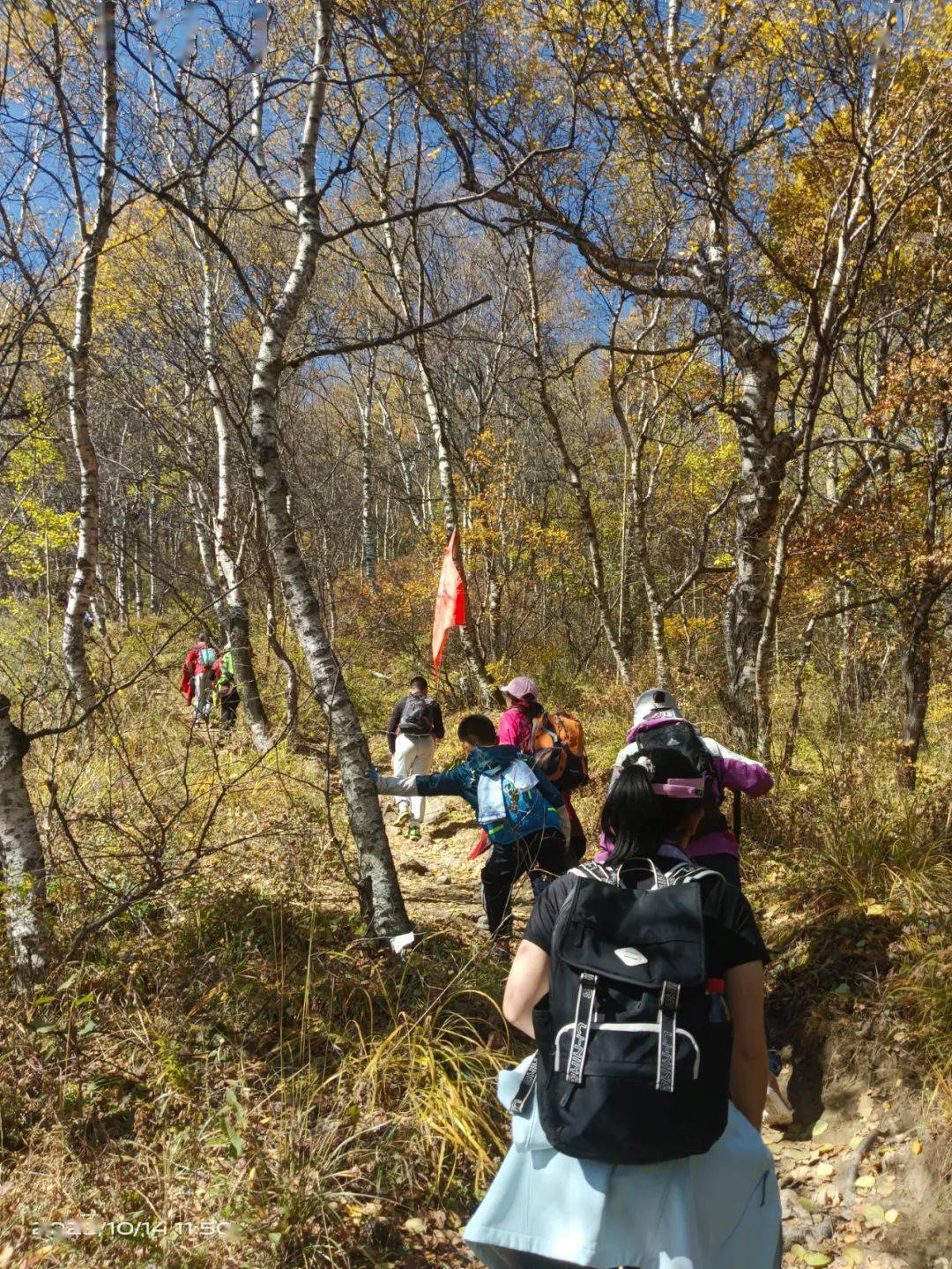 米的灵山赏秋 中国梦登山队第三百六十四次活动简报_北京_风光_薛强