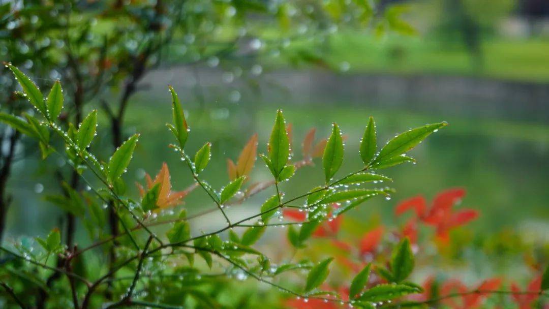 一圈又一圈剛剛我錯過的大雨 握不住的盛夏在這個落