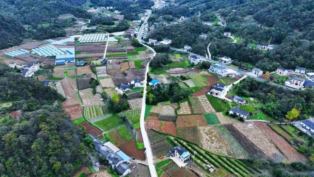 庭院扮靓乡村 长阳贺家坪镇青岗坪村九旬夫妇用爱将庭院绿植呵护成一