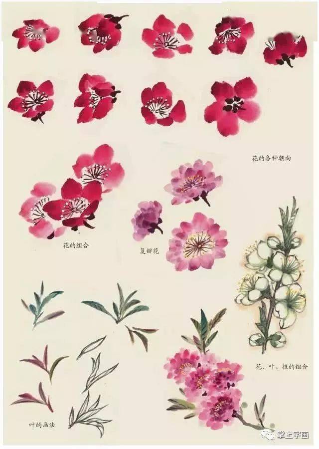 各种写意花鸟画的画法示例步骤详解_变化_方法_用墨