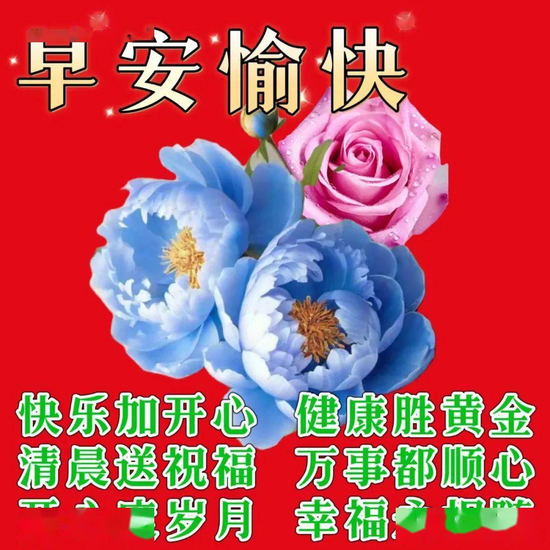 今日最新早上好表情圖片大全送個祝福,平平安安!送個快樂,健健康康!