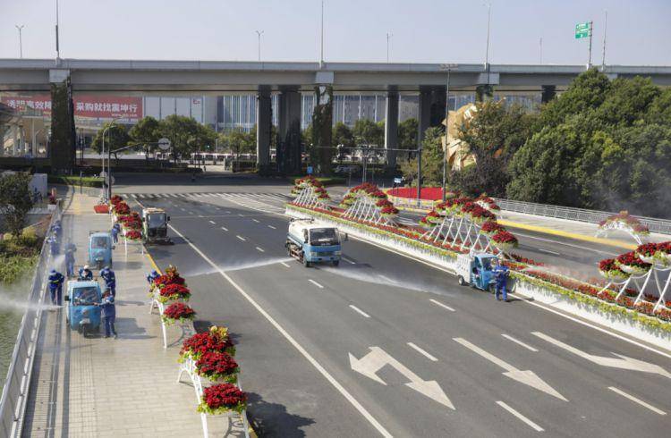 色格桑花整修补种对重点点位道路绿化进行张正浦北横泾小涞港滨水步道