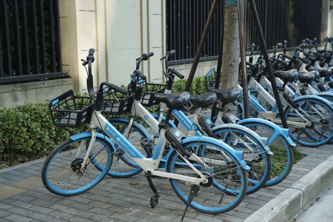 600辆"小蓝车"亮相华新街头,市民绿色出行更便捷!_单车_巡查_区域