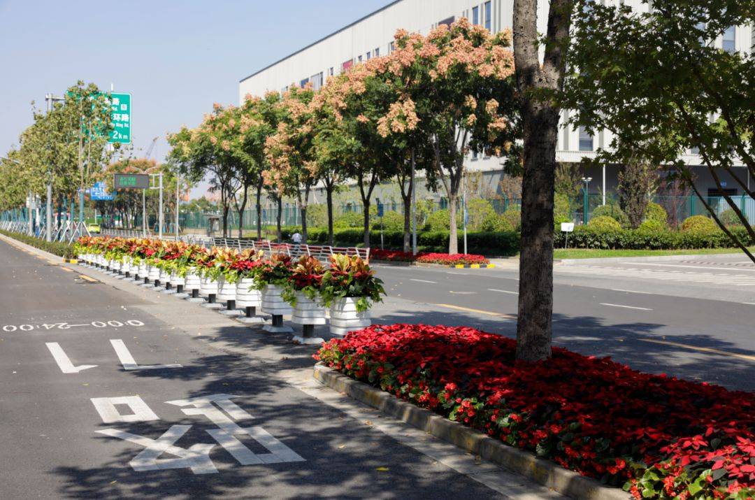 看看闵行这个地方有多美→_虹桥_博会_街道