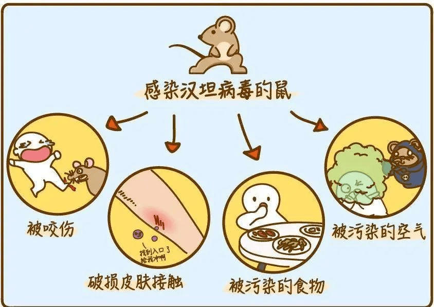 【今日科普】出血热来袭,如何预防要知晓_接种_休克_疫苗