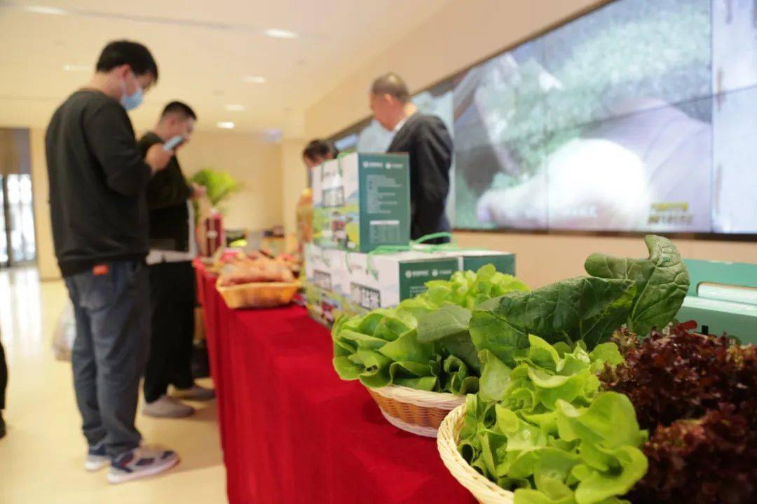 农产品为"媒",京津冀共"亲":唐山芦台农产品进京展销_特色_发展_活动