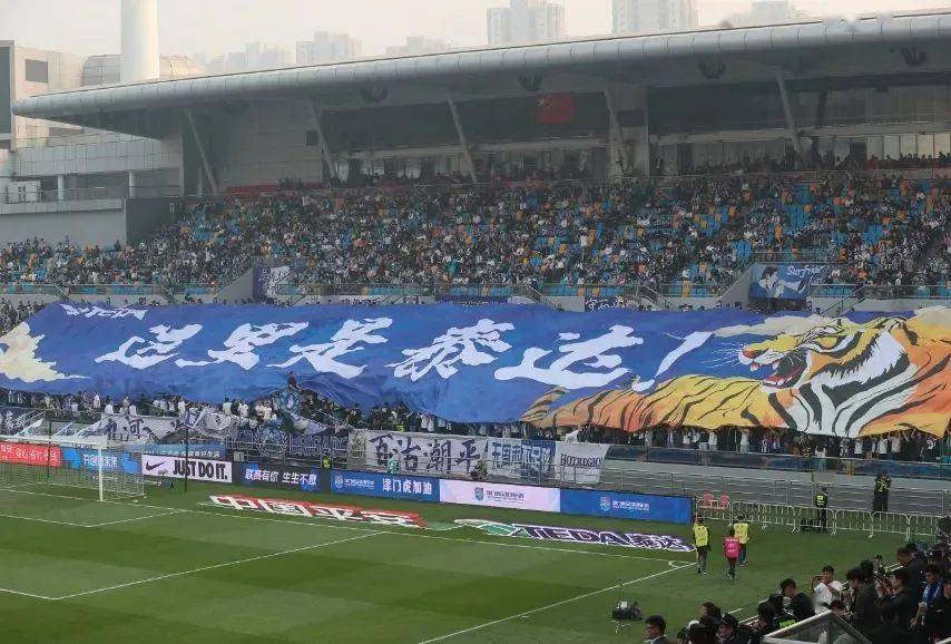 观察|泰达足球何以如此精彩?_球迷_比赛_天津