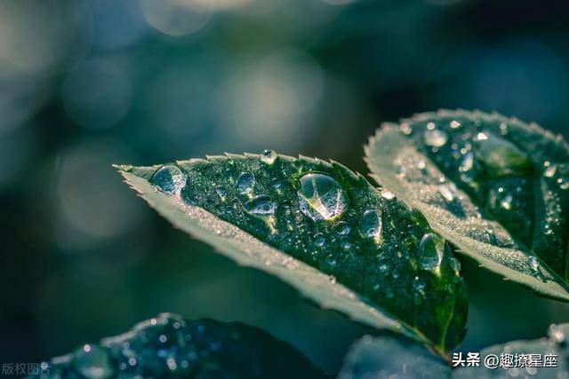 11月贵人指点,财运发展较好的星座,事业超顺_好运_时候_因为