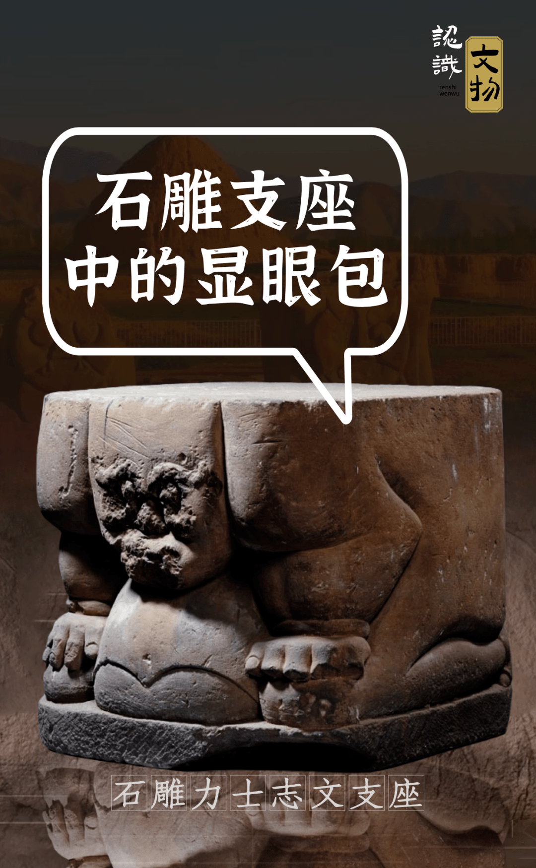 萨珊_宁夏_西夏博物馆