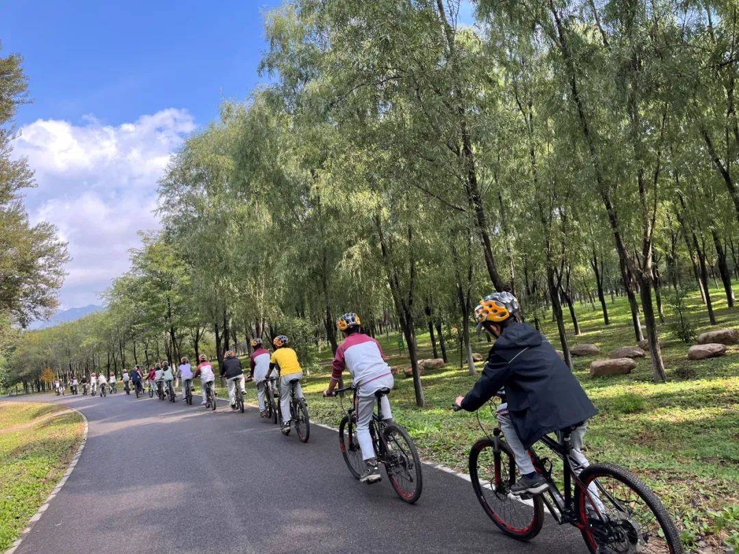 北京中学西坝河校区2023·秋·大地课程-延庆露营_活动_篝火_挑战