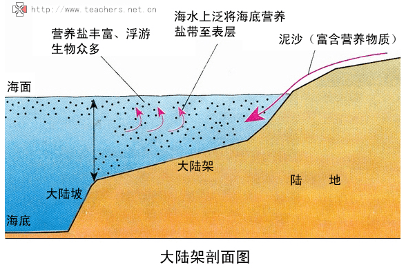 6,渔业资源集中分布在温带沿海大陆架海域,原因:方向方面:由较高(低)