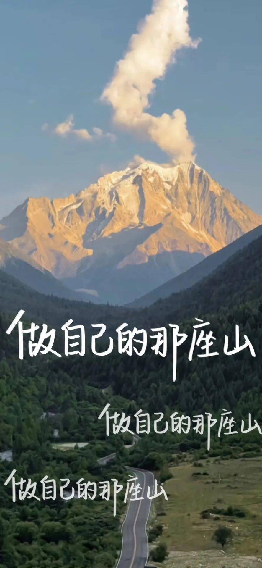 【骂醒版】考研上岸专用壁纸,换上就稳了!