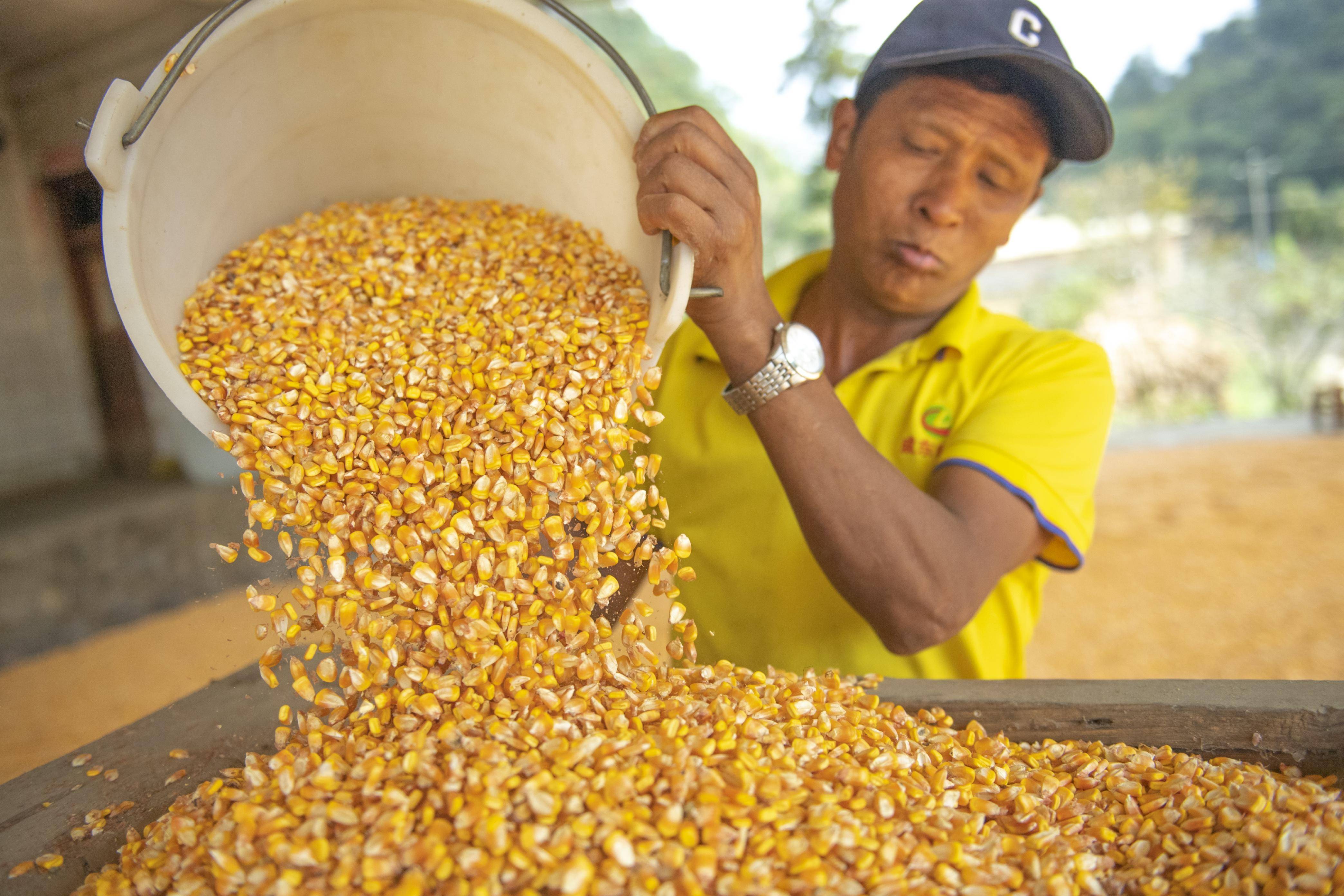 全年粮食产量有望再创新高_新华社_江苏省_收割机