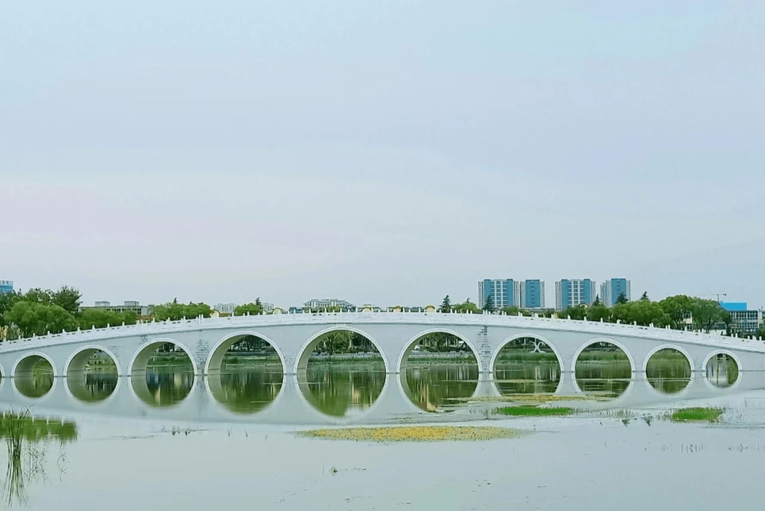 换一种方式爱上罗庄!_城市_公园_湿地