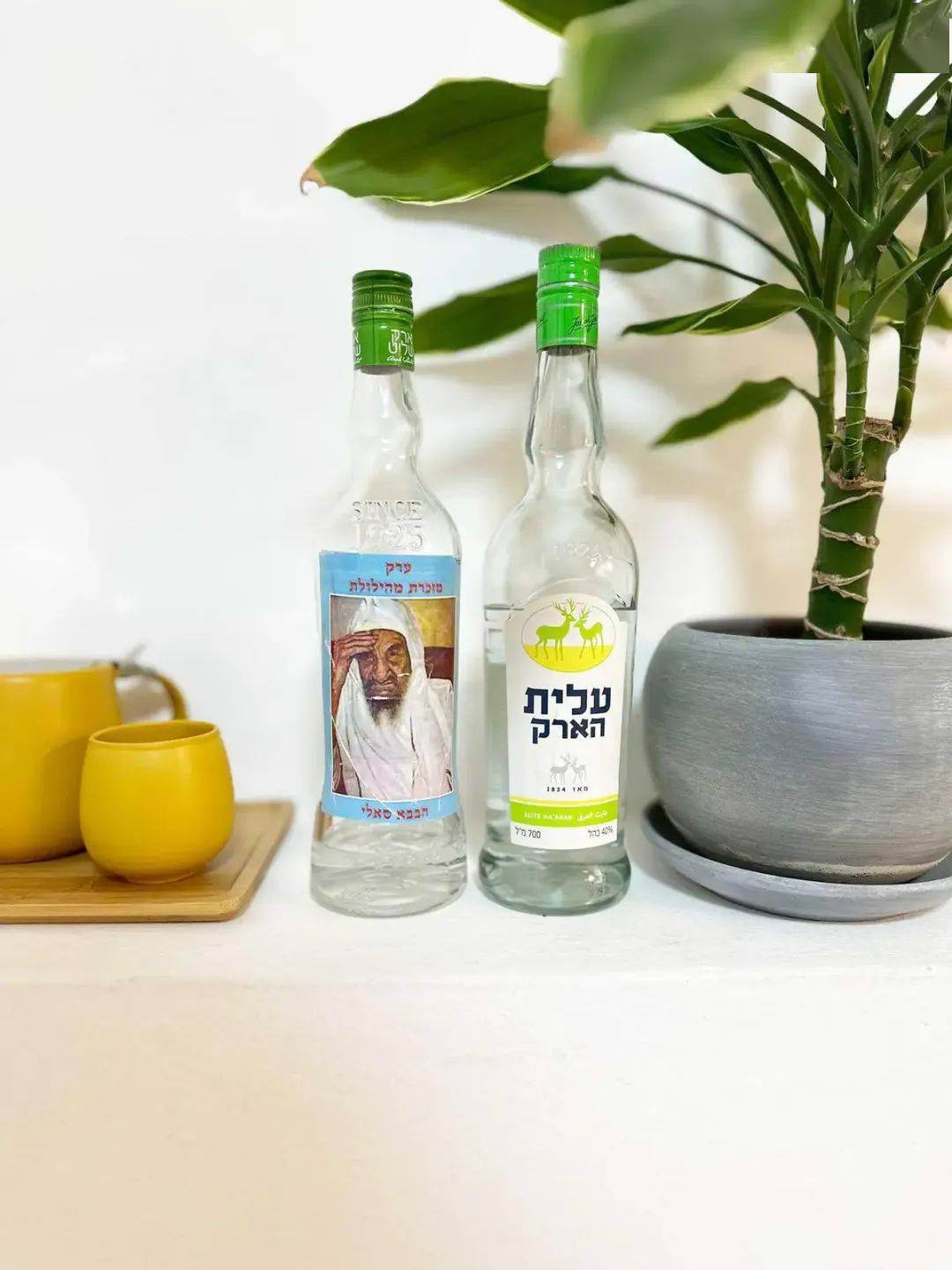 以色列的阿拉克酒品牌sourced:tabletmag.