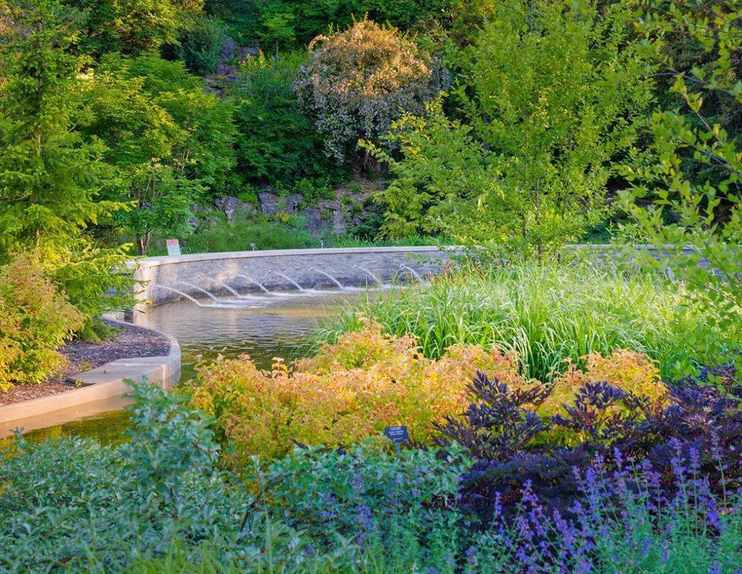 15个水景设计案例分享,为景观项目加分_空间_流动_自然