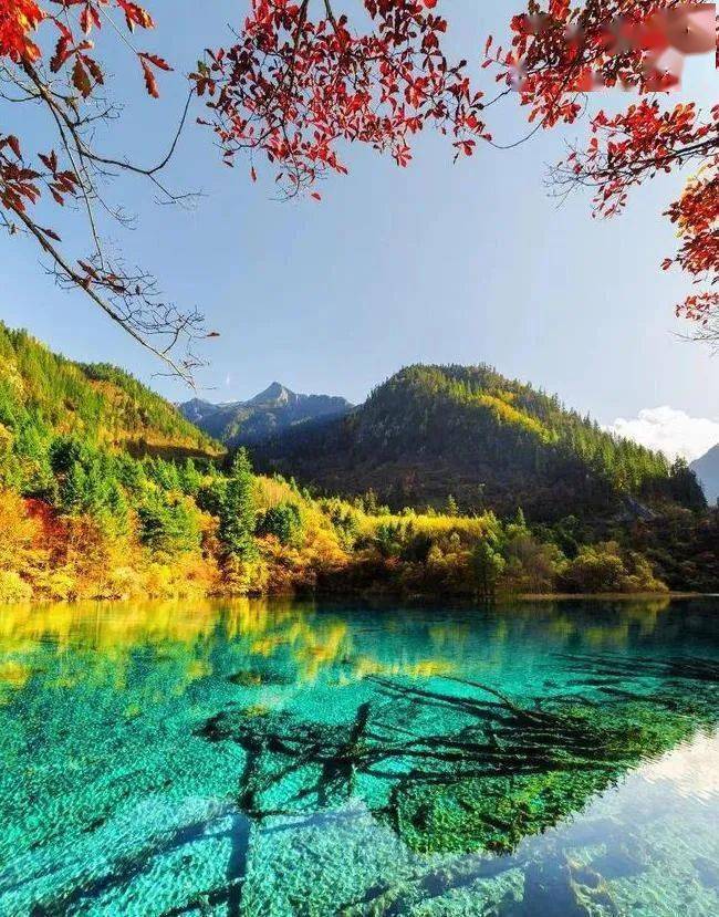 中国最美的50个秋景,去过20个就算旅行达人