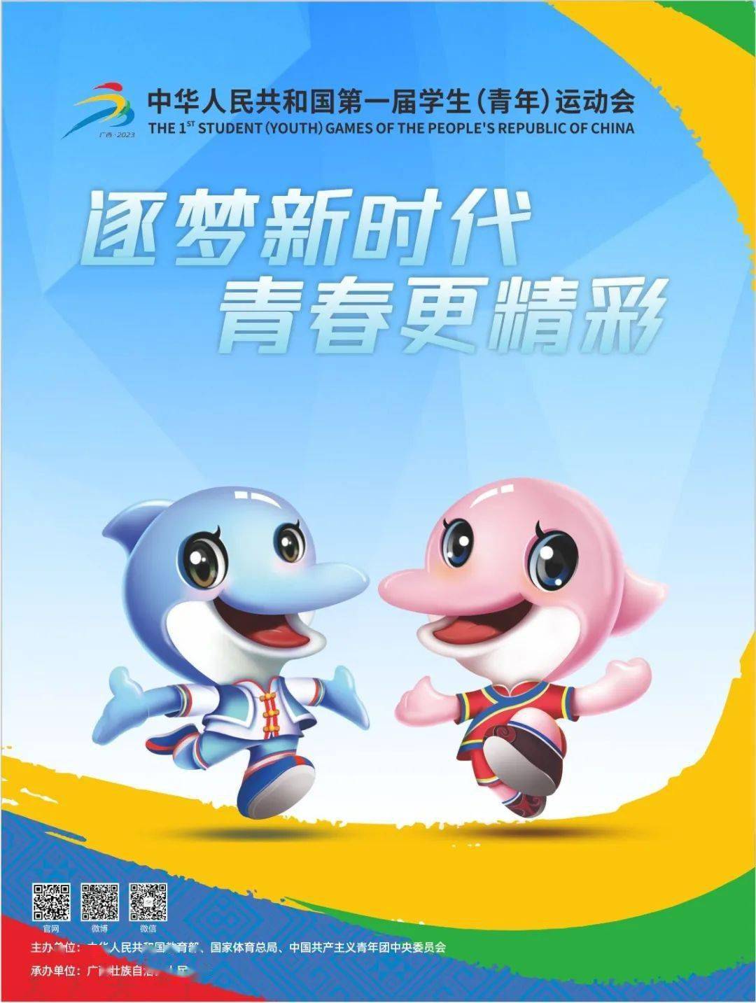 这是首届学青会吉祥物_保护_海豚_青秀区