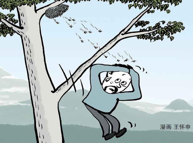 上山掏蜂蛹被蛰出现多种脏器衰竭刘大伯就是出现多器官衰竭的患者.