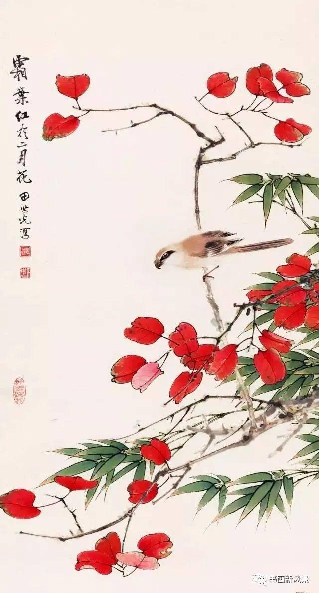 红叶小鸟56幅，漂亮极了！_搜狐网