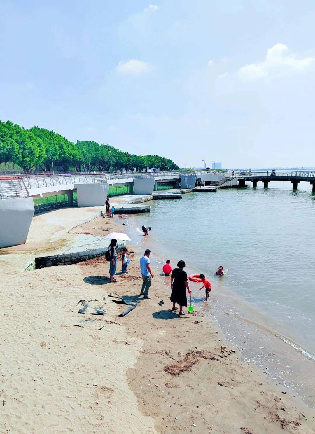 虎门这片沙滩,开放了!_区域_东莞_综合