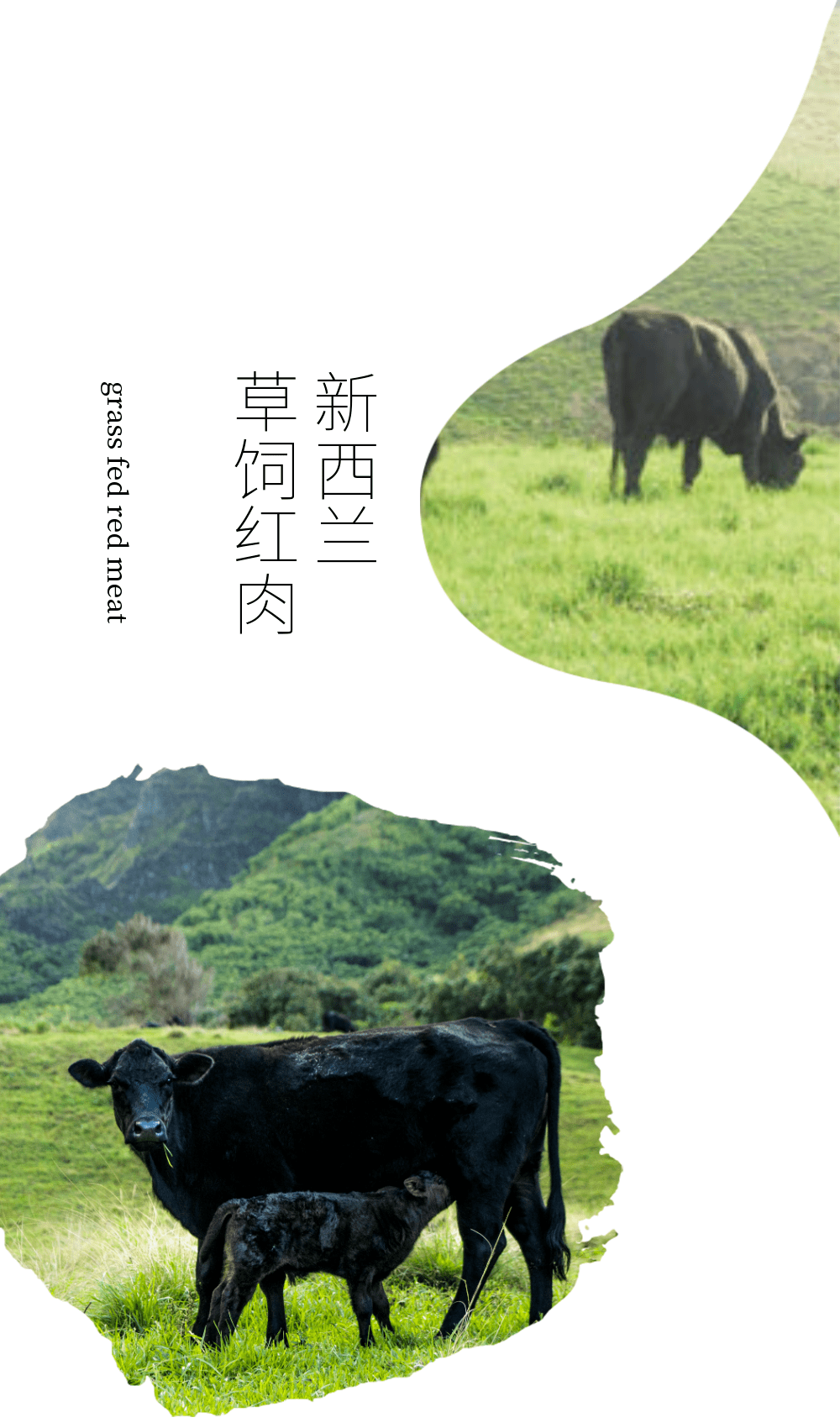 「银蕨农场」牛羊鹿红肉系列,100%草饲,天然低脂_新西兰_美味_认证