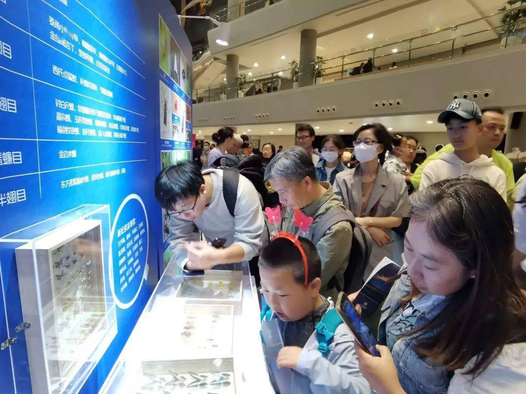 现场,"城市昆虫"展览在上海自然博物馆b2中庭开幕,并发布由上海自然