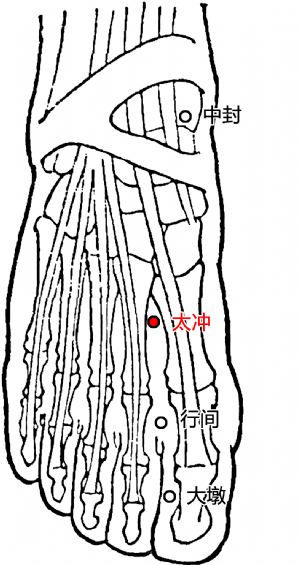 補中益氣5,乳根:通乳化瘀,宜肺利氣4,膻中:理氣止痛,生津增液3,膺窗