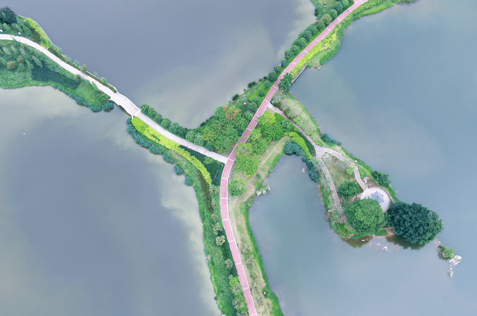 东湖公园△砚阳湖公园△长利湿地公园 来源:肇庆新区发布△肇庆新区
