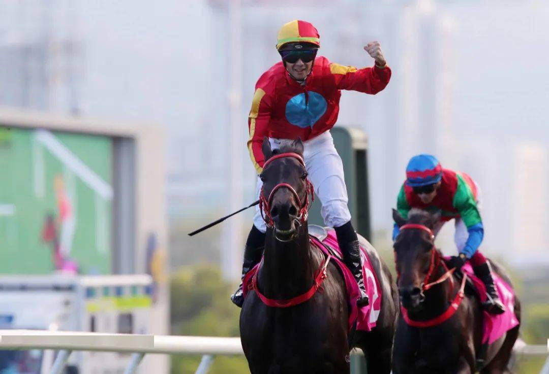 及「朗朗乾坤」连中三元;钟易礼则策「洪运派彩」及「飞鹰翱翔」报捷