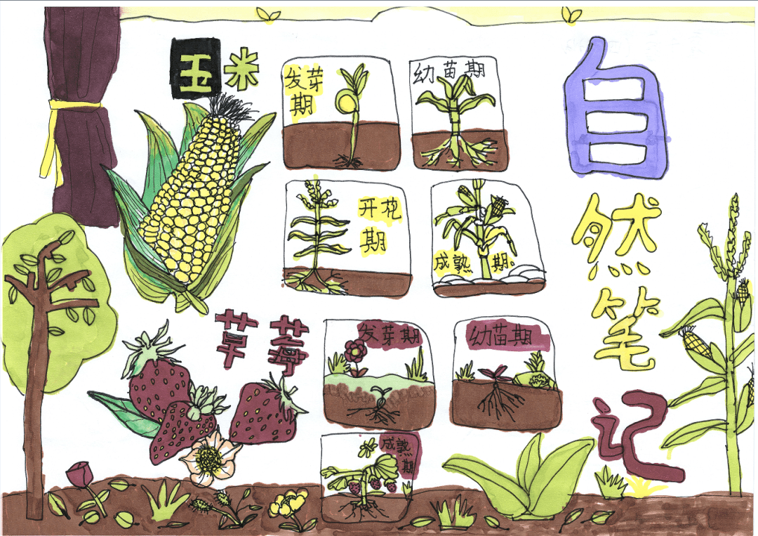 长治市参加《山西省青少年"一起向自然"2023年生物多样性自然笔记征集
