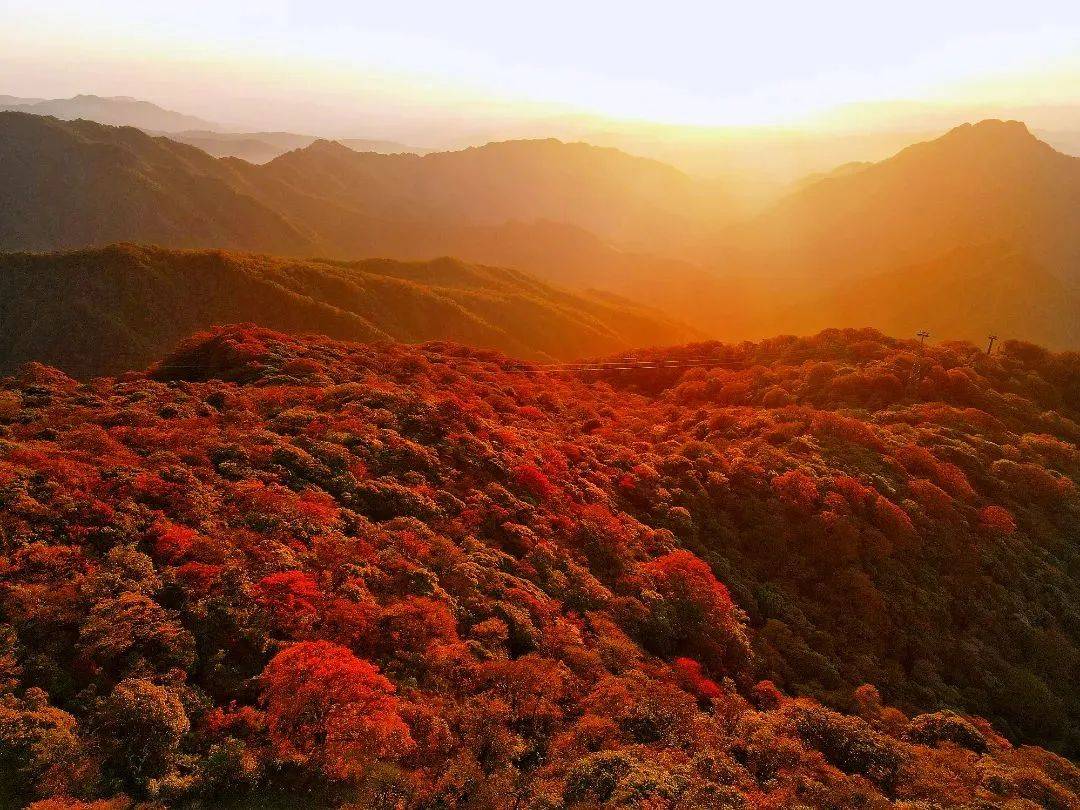 伟绩深度游览张家界,天门山国家森林公园寻访南方紫禁城—土司城游凤