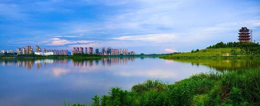 宛陵湖将投放鲢鱼,鳙鱼!_湿地_捕捞_公园