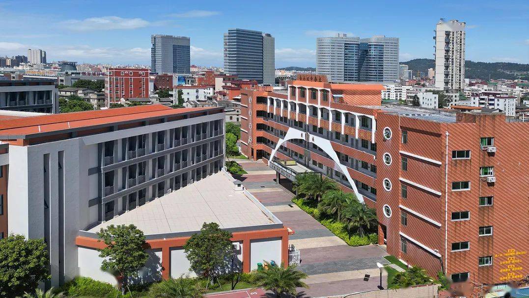 大仑中心小学,石狮市第二实验小学,石狮市实验中学,厦门外国语石狮