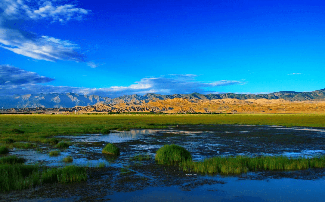海西州乌兰县都兰湖入选国家重要湿地名录_保护_全力_青海