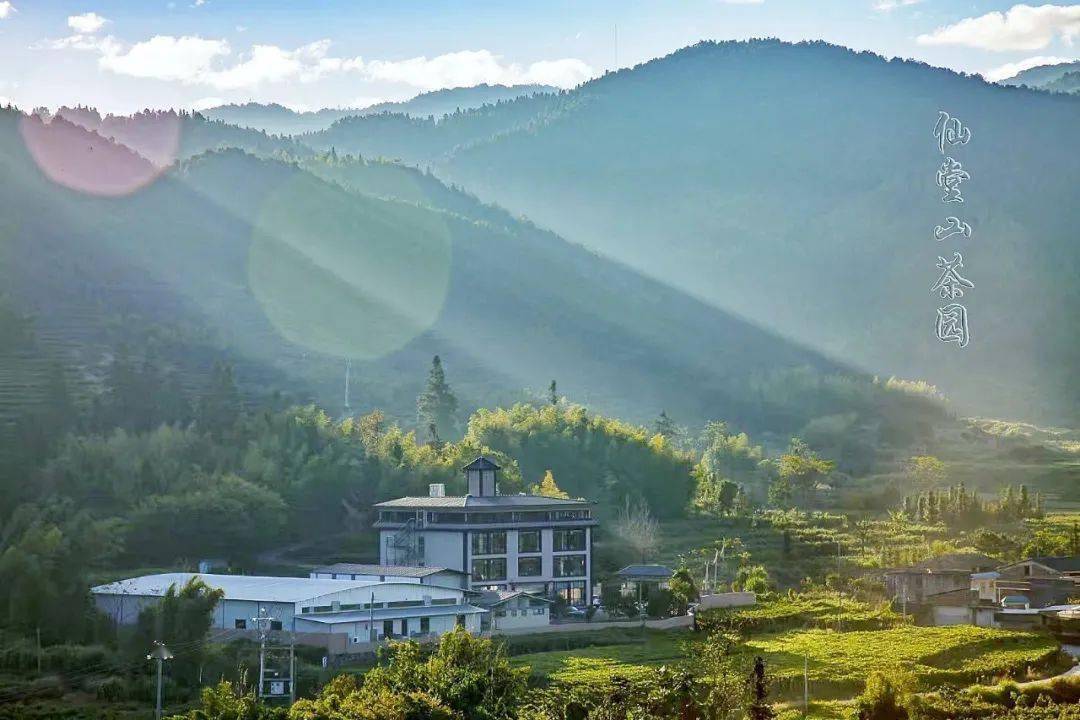 新丰再添一处……_红叶_樱花_广东省