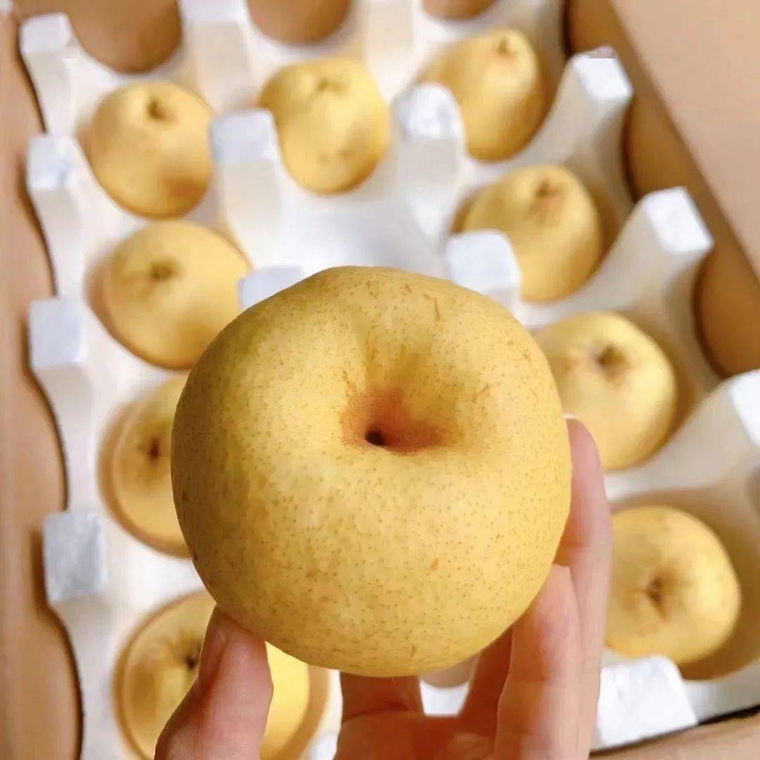 19.9的水果尝鲜,坏果包赔_香蕉_酥梨_隰县