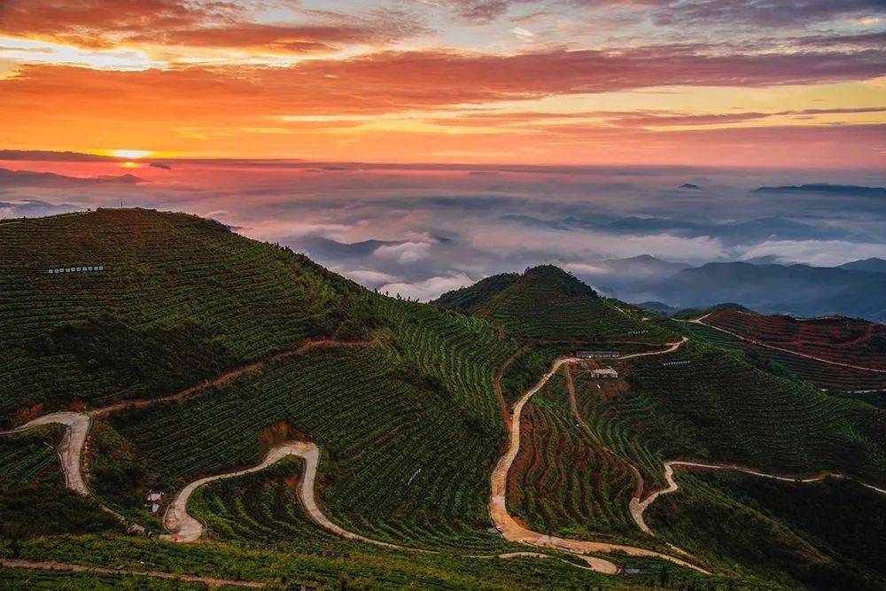 【11月12】云霄发团 安溪国心绿谷 清水岩纯玩1日游_云端_海拔_风景