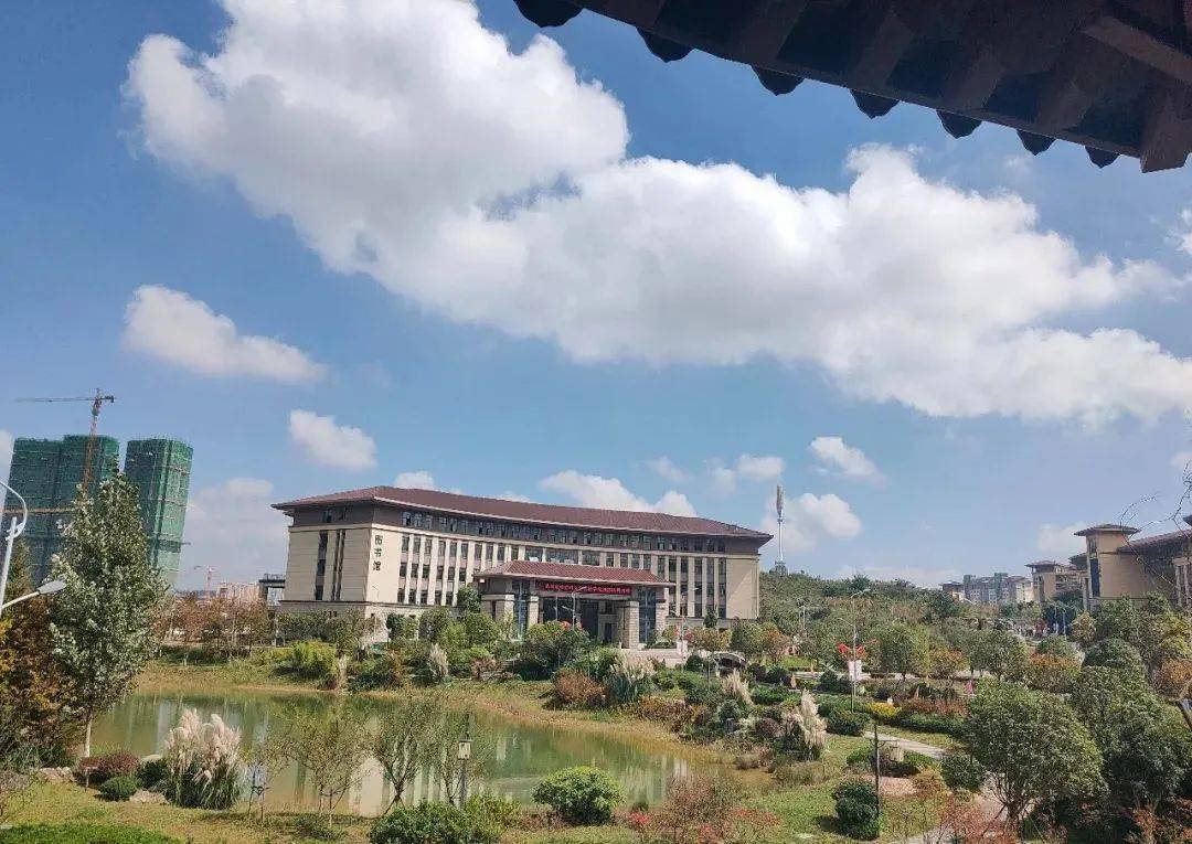 捕捉贵州高校最后一抹秋色_校园_落叶_色彩